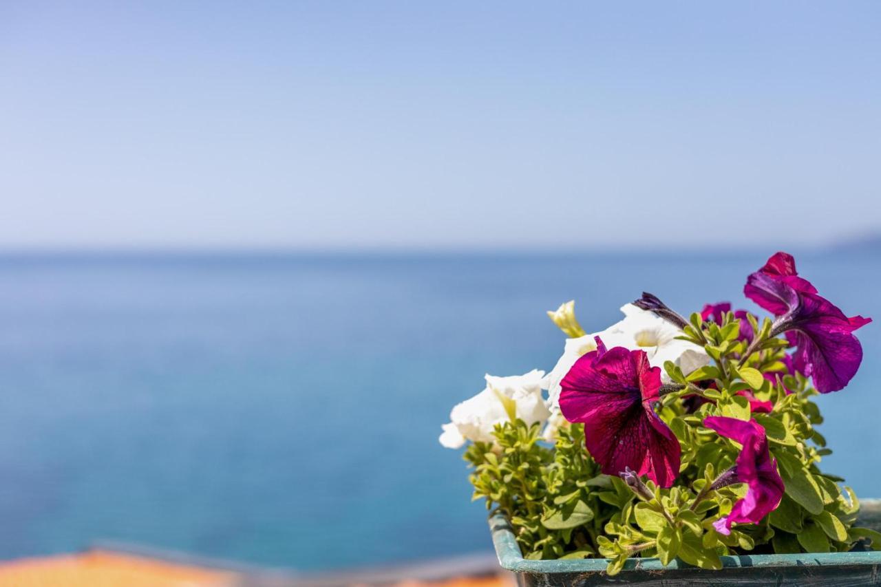 Villa La Terrazza Sul Mare Magomadas Exterior foto